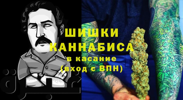 хмурый Алзамай
