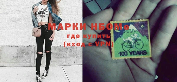 хмурый Алзамай