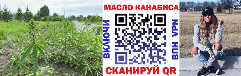 omg вход  Октябрьск  ТГК Wax 